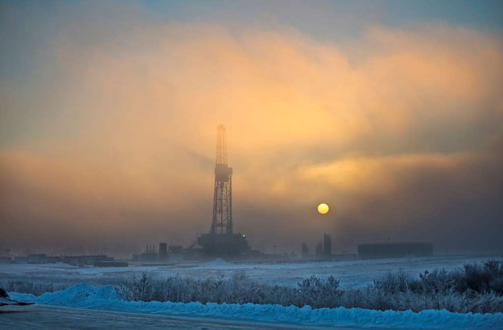 Woodspring Suites Williston Servicios foto